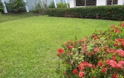 Se alquila casa de 3 recámaras y 2 baños ubicada en Cárdenas, Panamá