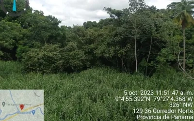 Se vende Terreno de 3,000m2 , colinda al corredor Norte y el Río Juan Díaz