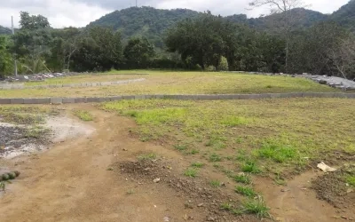 Se vende terreno 8600m2 a pocos metros de la transístmica