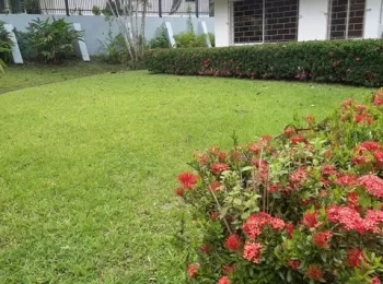 Se alquila casa de 3 recámaras y 2 baños ubicada en Cárdenas, Panamá