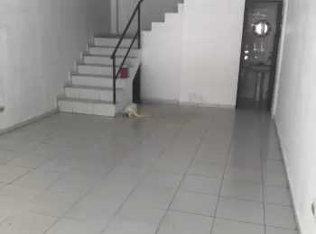 Se alquilan locales ubicados en el cangrejo