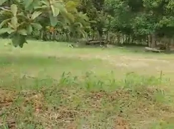 Terrenos en Venta en Penonomé: Lotes desde 1,000m2 a U$20.00/m2