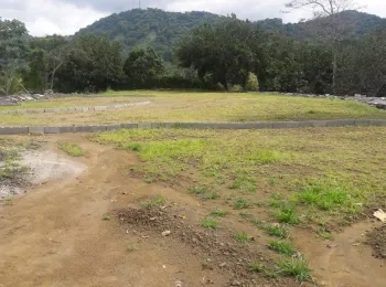 Se vende terreno 8600m2 a pocos metros de la transístmica